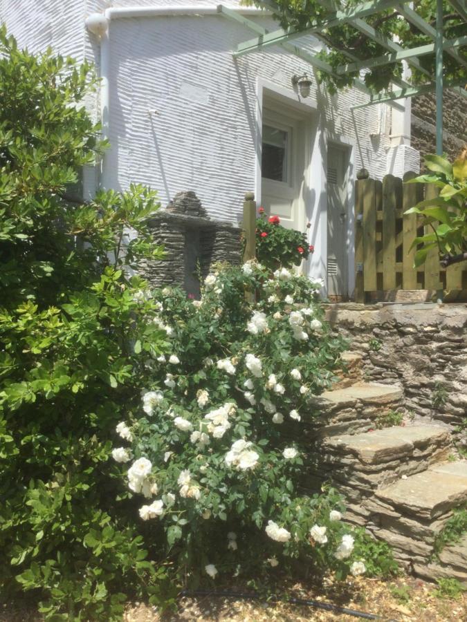 Victoria'S Summerhouse Ándros المظهر الخارجي الصورة